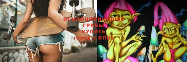 соль ск Кукмор